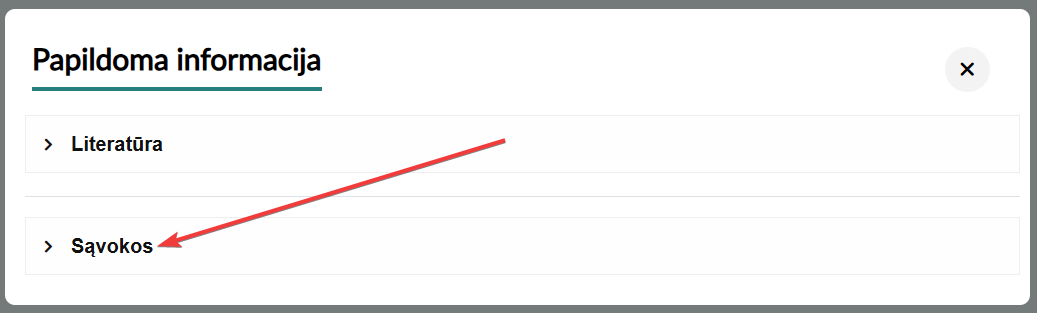 Papildoma informacija